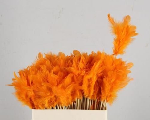 Stick Feather Orange (small) - Stick feather orange