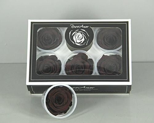 Preserved Rosa Xl Cho 01 - Rozen gr. vendela verf blauw