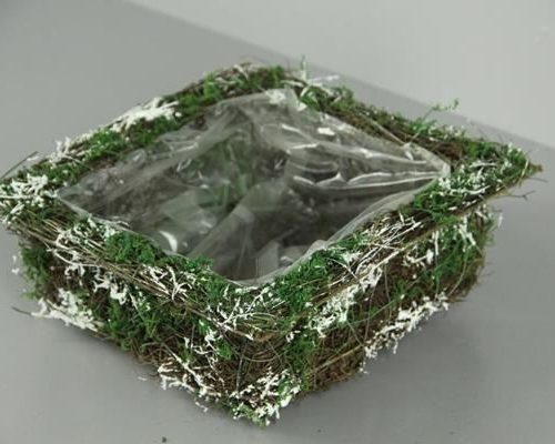 Planter salim+moss+snow 25x25 - Planter salim+moss+snow 25x25