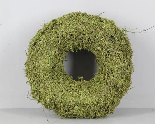 Wreath Moss(dried) Ø30x9cm Grn - Decoratiemateriaal (h%)