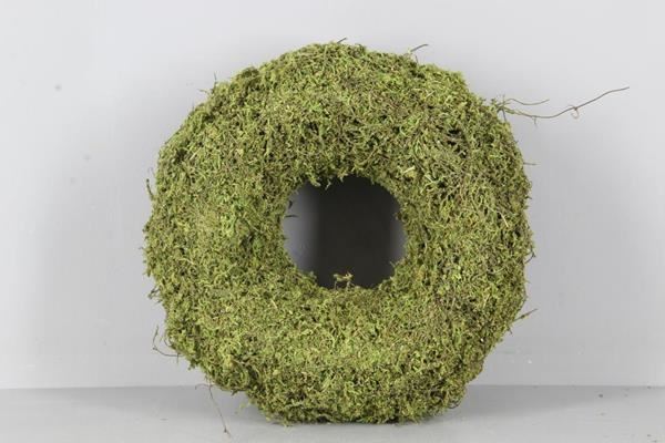 Wreath Moss(dried) Ø30x9cm Grn - Decoratiemateriaal (h%) 1 Wreath Moss(dried) Ø30x9cm Grn - Decoratiemateriaal (h%)