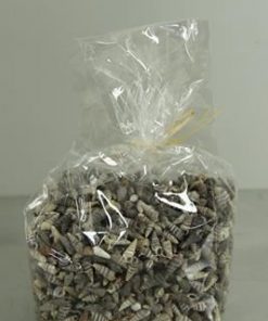 Shell Black Oori (500gr) - Decoratiemateriaal (h%)