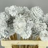 Stick Pine Cone White+glitter - Dennenappel h% 3 Stick Pine Cone White+glitter - Dennenappel h% 2