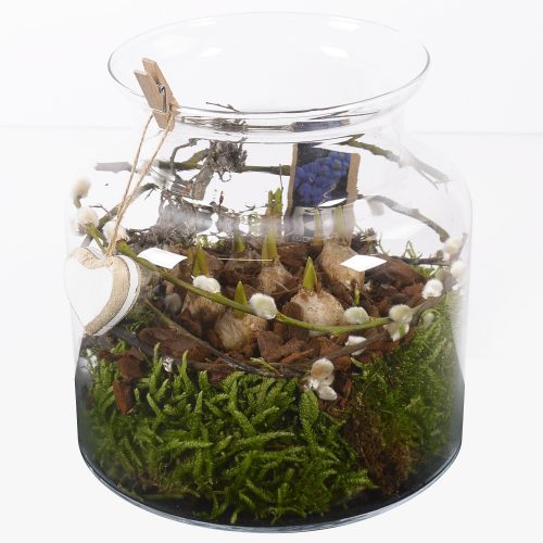 Arrangementen tuinplanten	-	5	-	Adet