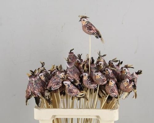Stick Quail 13,5cm Copper - Decoratiemateriaal (h%)
