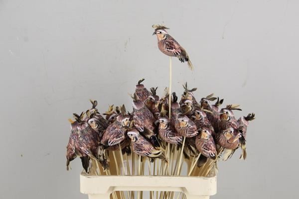 Stick Quail 13,5cm Copper - Decoratiemateriaal (h%) 1 Stick Quail 13,5cm Copper - Decoratiemateriaal (h%)