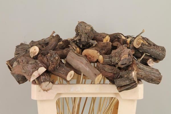 Stick grape wood natural - Stick grape wood natural 1 Stick grape wood natural - Stick grape wood natural