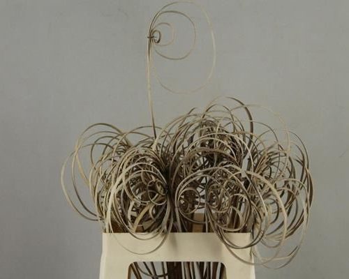 Stick Cane Coil Natural - Decoratiemateriaal (h%)