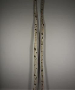 Birch trunk 3-4cm 220cm - Birch trunk 3-4cm 220cm
