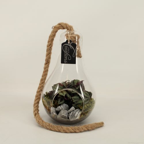 Ctcr-2055 cactus en succulent creatie	-	3	-	Adet