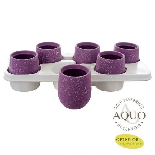 keramiek paars wit aquo sapw