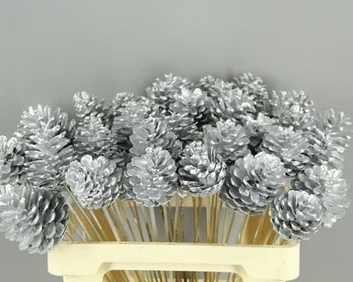 Stick Pine Cone Silver - Dennenappel h%