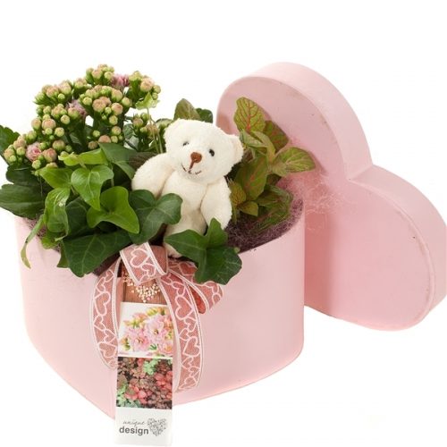 Udv2059 hoedendoos hartvormig s	-	6	-	Adet