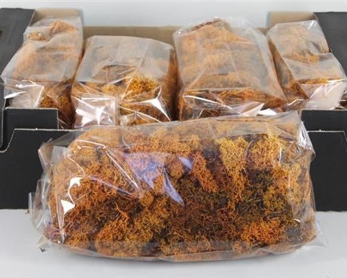 Moss icelandic 500gr orange - Moss icelandic 500gr orange
