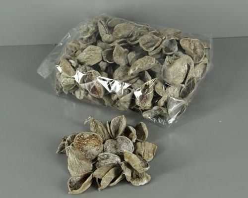 Land Lotus Petal Frosted(500g) - Decoratiemateriaal (h%)