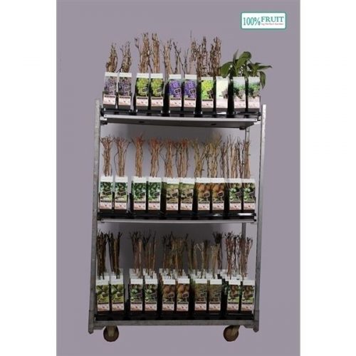 Fruitbomen mix cc exclusief