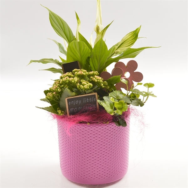 Arrangementen keramiek ovaal tcc 107 - 6 - Adet