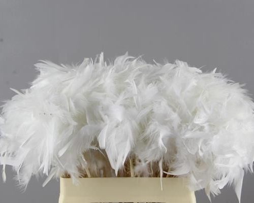 Stick Feather Pearlwire White - Decoratiemateriaal (h%)