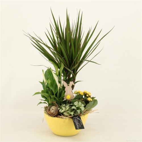 Baps-2008g basic pasen	-	3	-	Adet