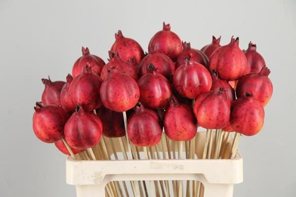 Stick Pomgranate 6cm Red - Decoratiemateriaal (h%) 1 Stick Pomgranate 6cm Red - Decoratiemateriaal (h%)