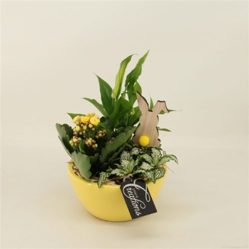 Baps-2006g basic pasen	-	6	-	Adet