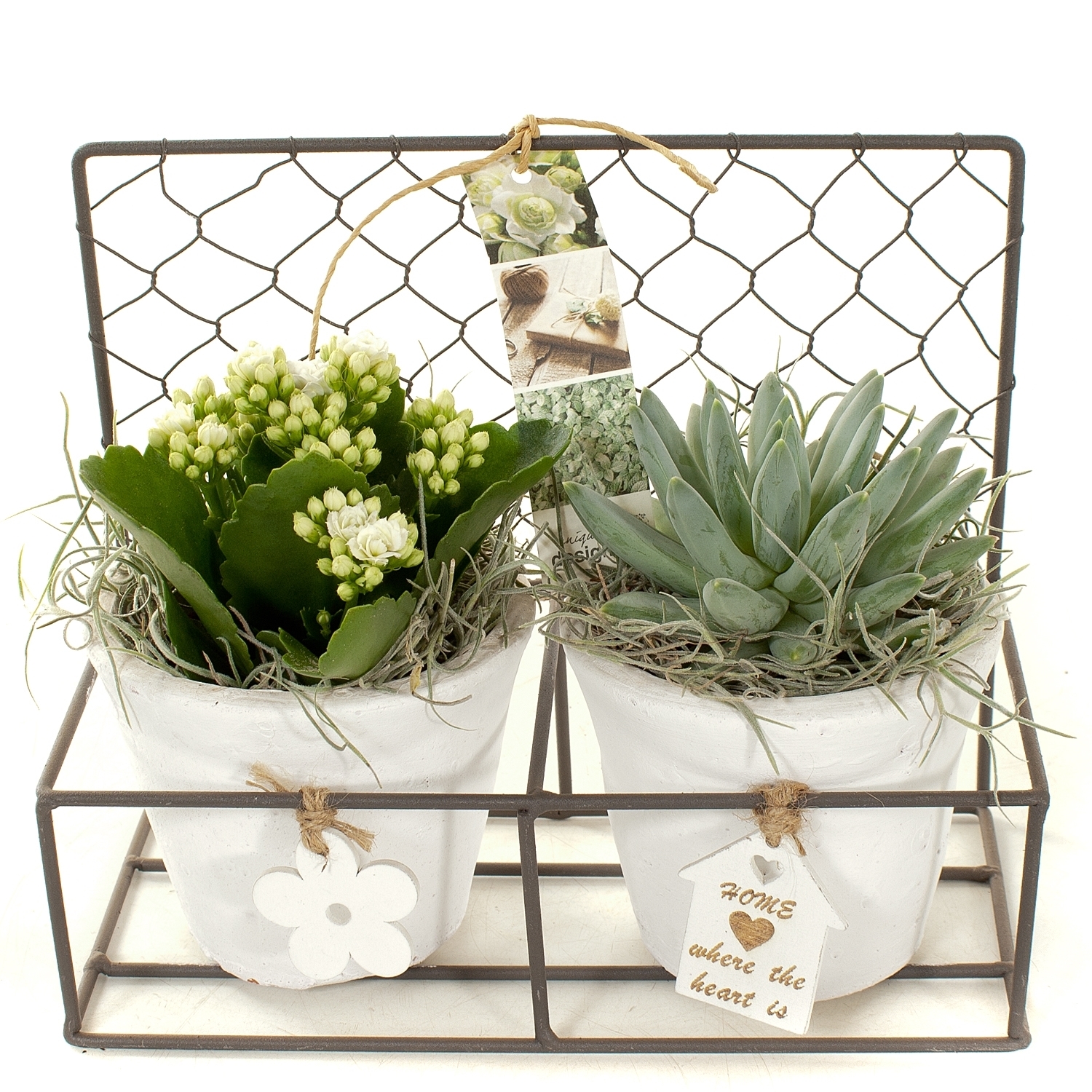 Arrangementen keramiek ovaal tcc 107 - 4 - Adet