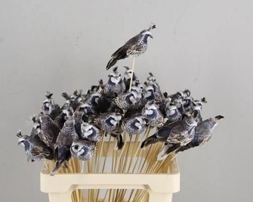 Stick Quail 13,5cm Grey - Decoratiemateriaal (h%)