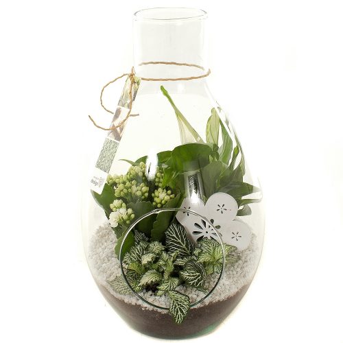Arrangementen kamerplanten h%	-	3	-	Adet