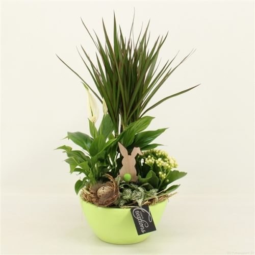 Baps-2008gr basic pasen	-	3	-	Adet