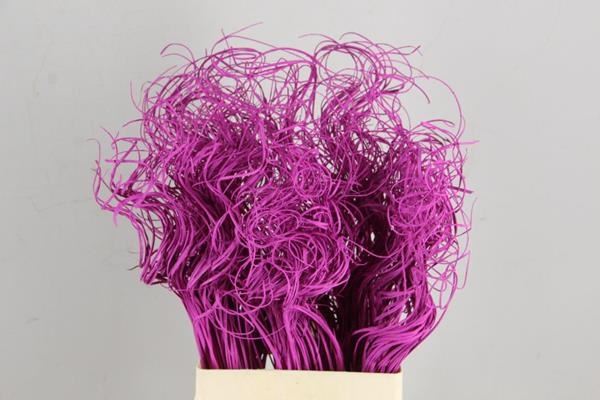 Stem Ting Ting Cerise Bs - Decoratiemateriaal (h%) 1 Stem Ting Ting Cerise Bs - Decoratiemateriaal (h%)