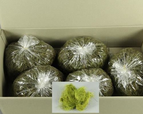 Tamarind Fiber Green(bag 500g) - Decoratiemateriaal (h%)