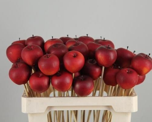 Stick Apple 4cm/medium Red - Decoratiemateriaal (h%)