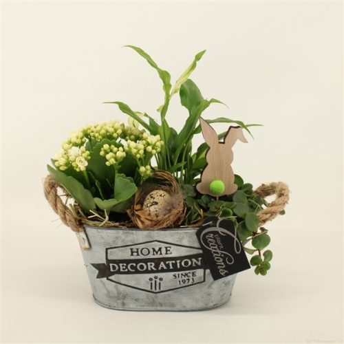 Baps-2017gr basic pasen	-	6	-	Adet