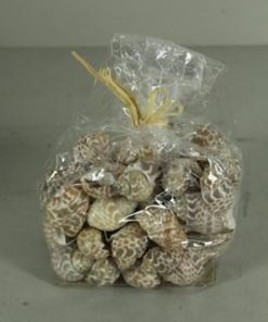 Shell Pura Muttai (500gr) - Decoratiemateriaal (h%)