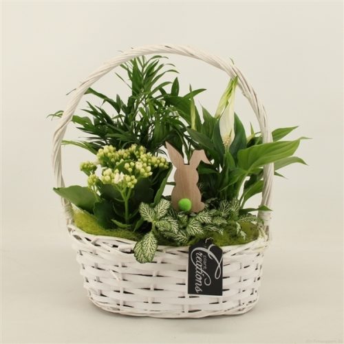 Baps-2015gr basic pasen	-	4	-	Adet