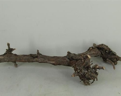 Grape wood natural - Grape wood natural large