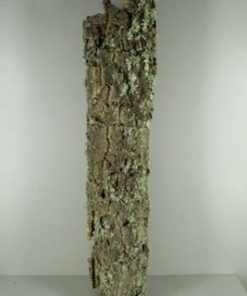 Cork Tube 110-120cm - Decoratiemateriaal (h%)