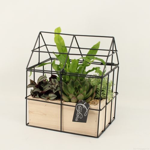 Grcr-2035 green creations	-	3	-	Adet