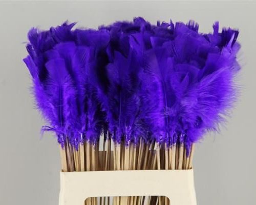 Stick feather purple-blue - Stick feather purple-blue