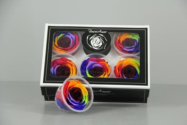 Preserved Rosa Xl Rainbow - Rozen gr. vendela verf blauw 1 Preserved Rosa Xl Rainbow - Rozen gr. vendela verf blauw