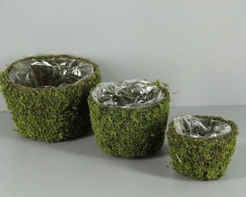 Planter Moss Round S/3 - Decoratiemateriaal (h%)