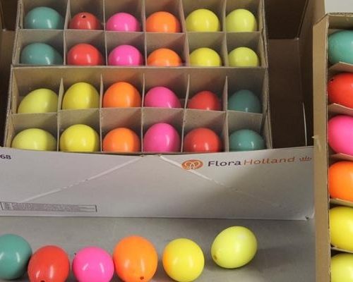 Egg Chicken Bright Mix Box12pc - Decoratiemateriaal (h%)