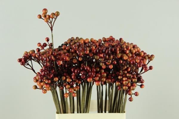 Stick berries orange/red - Stick berries orange/red 1 Stick berries orange/red - Stick berries orange/red