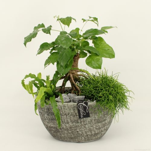 Grcr-2021 green creations	-	2	-	Adet