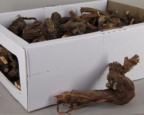Grape wood box natural 20-25cm - Grape wood box natural 20-25cm