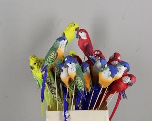 Stick Parrot 24cm Mix - Decoratiemateriaal (h%)