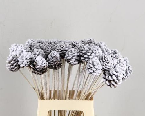 Stick Pine Cone Snow+glitter - Dennenappel h%