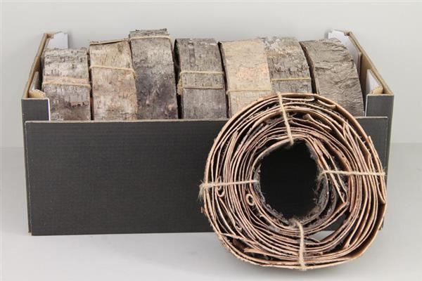 Birch Bark Roll Natural 28x7cm - Decoratiemateriaal (h%)