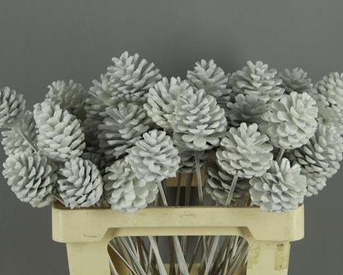 Stick Pine Cone  Wax White - Dennenappel h%