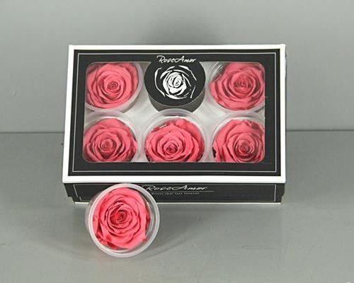 Preserved Rosa Xl Bic 10 - Rozen gr. vendela verf blauw